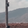 Caught on Camera